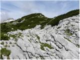 Planina Podvežak - Lučki Dedec